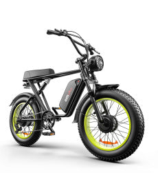 C91-20 Inch Dual-drive High-speed Electric Bike
