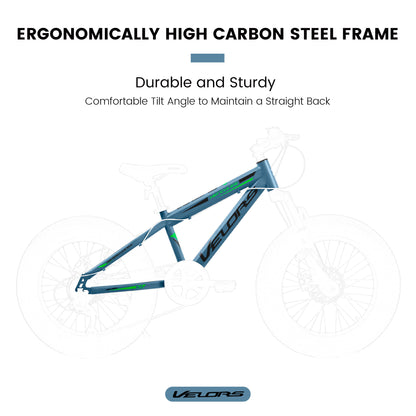 V20235 20 Inch Fat Tire Bike 7 Speed Mountain Bike, Dual Disc Brakes, High Carbon Steel Frame, Front Suspension, Mountain Buggy, City Commuter City Bike, Fat Tire Bike